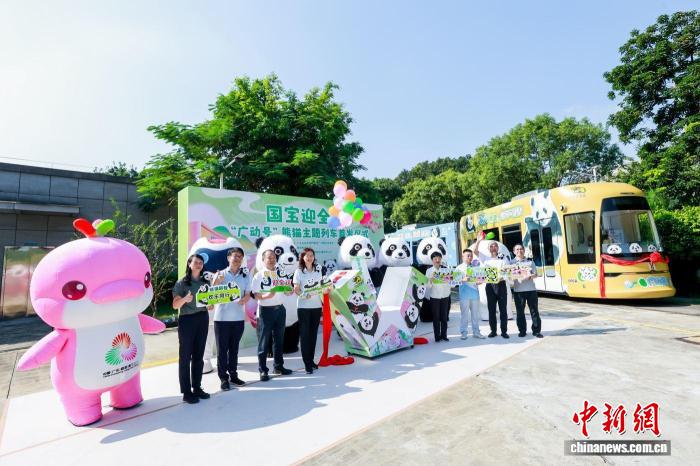 国宝迎全运 大熊猫主题有轨电车广州首发